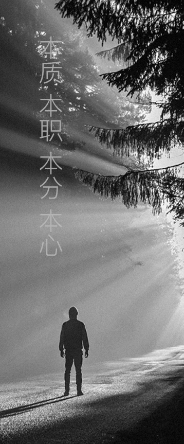 右图背景
